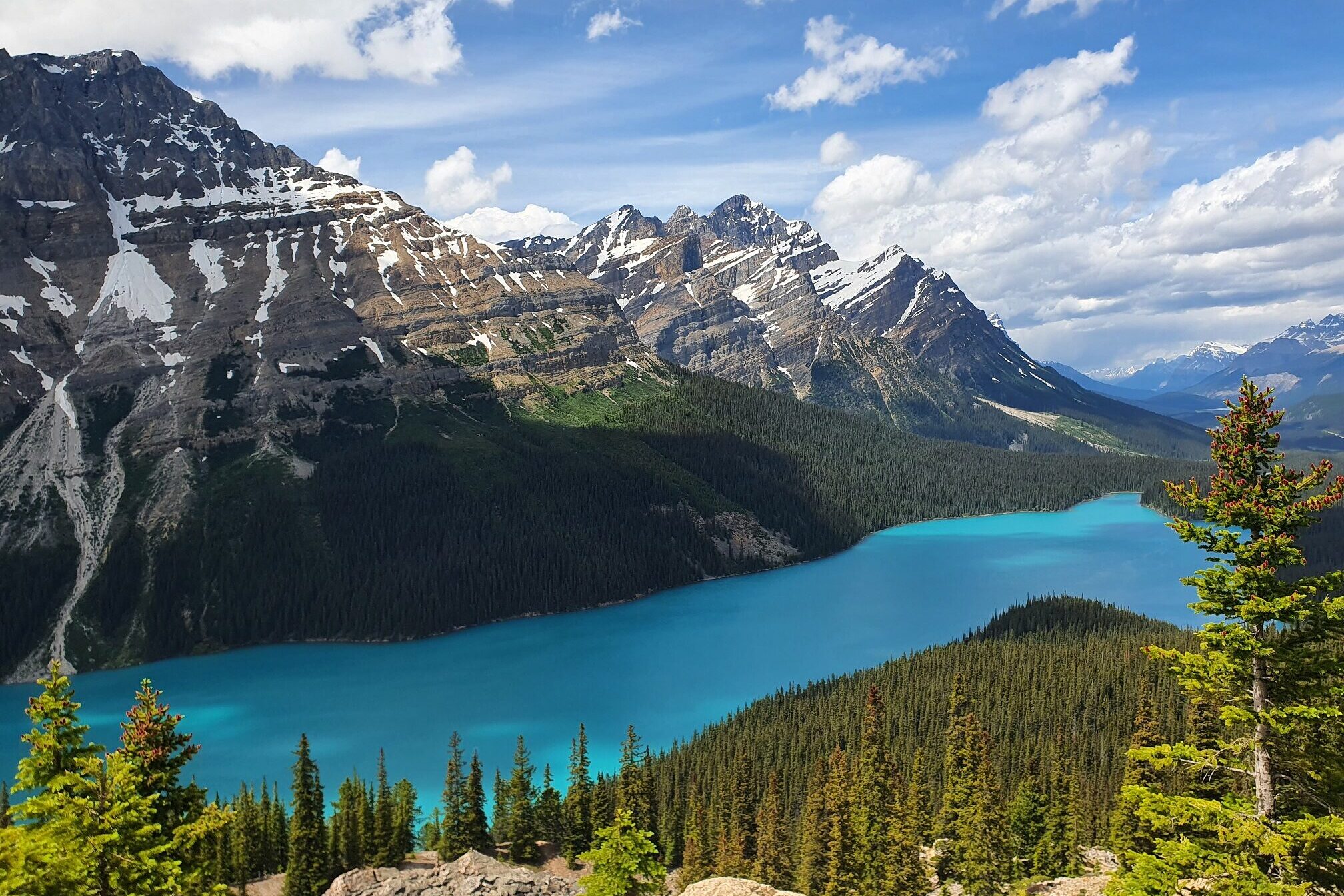 Banff, Yoho and Jasper National Park - Cross Cultural Couple