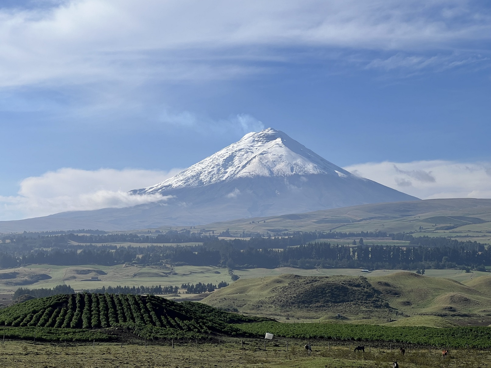 Cotopaxi National Park, Ecuador - Cross Cultural Couple